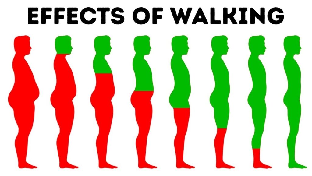 Walk Yourself Healthy: Enhance Your Fitness through Walk-at-Home Exercises In this article, you’ll see how a walking workout can change the course of your fitness journey! The objective of going from point A to point B does not limit the act of walking as it walks freely around. It works every part of your body, improves your fitness, aids in burning calories, and creates more energy. In this guide, we will consider an entirely new walking-at-home fitness complex that is suitable for everyone regardless of the level of preparedness. Why Go for Walk-at-Home Workout? There are many reasons people would want to use walk-at-home workouts but the most obvious reason is the impact, accessibility, and effectiveness that it provides the user. This technique uses uncomplicated walking motions, which are built into dynamic exercise routines involving all body parts. The user does not need to be an expert walker or a fitness enthusiast as much, because this workout enables the users to gain their goals step by step. Now, where do I start, from a mile? That doesn't sound great, but with this, I'm off! To cater for ‘the jump’ into a walking while at home experience, this one-mile walking routine starts by bringing up the body temperature, by Easy/a brisk walk and now gently progressing into basic steps. Such experts gives reasoning that it is necessary to warm up prior to the following workout, so that: – The mind adjusts towards the session – The heart intensity goes up enabling enhanced performance – Muscles becomes loose aiding in enhancing athletic performance and preventing unforeseen injuries The Four Key Steps for Maximally Refining Upper and Lower Appendages Alternative Methods to Achieve Upper Body Engagement and Total Body Stabilization Pumping one’s arms, engaging core muscles while maintaining a stable chest is an excellent warm-up procedure. This gives the body an idea of what is to be expected during repetitive movements; alternatively known as the rhythm for a sequence or an entire workout. Level two involves twisting and performing a side step. Here the focus should be on lowering-glute quadriceps muscles and for a twist adding concentration and weight on the upper half by either rolling or moving the shoulders throughout. Ballet dances and horse riding both allow the use of gentle kicks, the latter does so more elegantly and with improved balance. Kicks with some integrated arm reach are powerful moving arm draws that enable one to conserve more calories. Knee lifts are an excellent way to enhance the body’s centre of gravity as well as improve movement stability by harmonising and lifting one’s knees. Shifting her upper body and torso forward or raising her arms. To downscale the exertion lifting one’s knees to mid-height will suffice. Outpacing with Resistance Bands to Functionally Stimulate Muscles Engagement of hunger muscles to wave and boost intensity throughout requires additional speed to one’s existing reps, along with the incorporation of stomach retaining or muscle retraction exercises which may enhance breathing resistance. Dodge in squats, leg lifts, squat kick back and hip dips to keep the tension across the abdominal muscles and chest raised. Resistance Training: A Game Changer for Walkers Adding resistance training to your workout can be as easy as using a resistance band. For example, placing the band around the back while performing chest presses, band pull-aparts, and standing crunches strengthens your back, shoulders, and chest while improving posture and core stability and building protective joint muscle to protect against injury. Cool Down: Relax and Recover Every great workout should include a proper cool-down period to help aid in recovery. Slow kicks, tap-outs, and gentle static and dynamic stretches can bring your heart rate down, help you recover and in the process help you avoid dizziness. Cooling down allows you to better manage stress and prepare your body for the next workout by increasing blood flow and reducing the chances of muscle stiffness. Muscle groups that have been worked can be re-engaged through stretching exercises such as lunges and arm stretches that will leave you in finish feeling great. The Benefits Of Walking Workouts It is evident that a walking workout routine at home not only aids in burning calories but also helps in the improvement of cardiovascular health and the increase of strength in major muscle groups as well as coordination, balance and posture all while being easy to incorporate into a busy schedule. Four Minutes to Fitness: Addendum To those who are busy, it features a four minutes of high intensity exercises. Single-leg lift, reverse lunge, and squats exercises work your muscles and gets your heart pumping. As this is quick, it’s a perfect circuit to boost your fitness for the day. Let’s Continue With The Whole Routine Success comes from continuity. For best results, it’s essential to add walk-at-home exercises into your schedule at least three to five times in a week. You can also merge your workout with some light smoothies – like cold coffee, protein powder, and banana – as a preworkout hydration boost. Conclusion Walk-at-home is not simply an exercise; it is a walk-at-home fitness revolution. These workouts are great for self improvement, as they require no equipment and no gym. Throw on your sneakers, feel the beat and walk into a new healthy you!