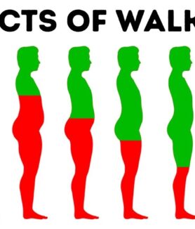 Walk Yourself Healthy: Enhance Your Fitness through Walk-at-Home Exercises In this article, you’ll see how a walking workout can change the course of your fitness journey! The objective of going from point A to point B does not limit the act of walking as it walks freely around. It works every part of your body, improves your fitness, aids in burning calories, and creates more energy. In this guide, we will consider an entirely new walking-at-home fitness complex that is suitable for everyone regardless of the level of preparedness. Why Go for Walk-at-Home Workout? There are many reasons people would want to use walk-at-home workouts but the most obvious reason is the impact, accessibility, and effectiveness that it provides the user. This technique uses uncomplicated walking motions, which are built into dynamic exercise routines involving all body parts. The user does not need to be an expert walker or a fitness enthusiast as much, because this workout enables the users to gain their goals step by step. Now, where do I start, from a mile? That doesn't sound great, but with this, I'm off! To cater for ‘the jump’ into a walking while at home experience, this one-mile walking routine starts by bringing up the body temperature, by Easy/a brisk walk and now gently progressing into basic steps. Such experts gives reasoning that it is necessary to warm up prior to the following workout, so that: – The mind adjusts towards the session – The heart intensity goes up enabling enhanced performance – Muscles becomes loose aiding in enhancing athletic performance and preventing unforeseen injuries The Four Key Steps for Maximally Refining Upper and Lower Appendages Alternative Methods to Achieve Upper Body Engagement and Total Body Stabilization Pumping one’s arms, engaging core muscles while maintaining a stable chest is an excellent warm-up procedure. This gives the body an idea of what is to be expected during repetitive movements; alternatively known as the rhythm for a sequence or an entire workout. Level two involves twisting and performing a side step. Here the focus should be on lowering-glute quadriceps muscles and for a twist adding concentration and weight on the upper half by either rolling or moving the shoulders throughout. Ballet dances and horse riding both allow the use of gentle kicks, the latter does so more elegantly and with improved balance. Kicks with some integrated arm reach are powerful moving arm draws that enable one to conserve more calories. Knee lifts are an excellent way to enhance the body’s centre of gravity as well as improve movement stability by harmonising and lifting one’s knees. Shifting her upper body and torso forward or raising her arms. To downscale the exertion lifting one’s knees to mid-height will suffice. Outpacing with Resistance Bands to Functionally Stimulate Muscles Engagement of hunger muscles to wave and boost intensity throughout requires additional speed to one’s existing reps, along with the incorporation of stomach retaining or muscle retraction exercises which may enhance breathing resistance. Dodge in squats, leg lifts, squat kick back and hip dips to keep the tension across the abdominal muscles and chest raised. Resistance Training: A Game Changer for Walkers Adding resistance training to your workout can be as easy as using a resistance band. For example, placing the band around the back while performing chest presses, band pull-aparts, and standing crunches strengthens your back, shoulders, and chest while improving posture and core stability and building protective joint muscle to protect against injury. Cool Down: Relax and Recover Every great workout should include a proper cool-down period to help aid in recovery. Slow kicks, tap-outs, and gentle static and dynamic stretches can bring your heart rate down, help you recover and in the process help you avoid dizziness. Cooling down allows you to better manage stress and prepare your body for the next workout by increasing blood flow and reducing the chances of muscle stiffness. Muscle groups that have been worked can be re-engaged through stretching exercises such as lunges and arm stretches that will leave you in finish feeling great. The Benefits Of Walking Workouts It is evident that a walking workout routine at home not only aids in burning calories but also helps in the improvement of cardiovascular health and the increase of strength in major muscle groups as well as coordination, balance and posture all while being easy to incorporate into a busy schedule. Four Minutes to Fitness: Addendum To those who are busy, it features a four minutes of high intensity exercises. Single-leg lift, reverse lunge, and squats exercises work your muscles and gets your heart pumping. As this is quick, it’s a perfect circuit to boost your fitness for the day. Let’s Continue With The Whole Routine Success comes from continuity. For best results, it’s essential to add walk-at-home exercises into your schedule at least three to five times in a week. You can also merge your workout with some light smoothies – like cold coffee, protein powder, and banana – as a preworkout hydration boost. Conclusion Walk-at-home is not simply an exercise; it is a walk-at-home fitness revolution. These workouts are great for self improvement, as they require no equipment and no gym. Throw on your sneakers, feel the beat and walk into a new healthy you!