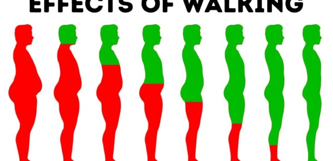 Walk Yourself Healthy: Enhance Your Fitness through Walk-at-Home Exercises In this article, you’ll see how a walking workout can change the course of your fitness journey! The objective of going from point A to point B does not limit the act of walking as it walks freely around. It works every part of your body, improves your fitness, aids in burning calories, and creates more energy. In this guide, we will consider an entirely new walking-at-home fitness complex that is suitable for everyone regardless of the level of preparedness. Why Go for Walk-at-Home Workout? There are many reasons people would want to use walk-at-home workouts but the most obvious reason is the impact, accessibility, and effectiveness that it provides the user. This technique uses uncomplicated walking motions, which are built into dynamic exercise routines involving all body parts. The user does not need to be an expert walker or a fitness enthusiast as much, because this workout enables the users to gain their goals step by step. Now, where do I start, from a mile? That doesn't sound great, but with this, I'm off! To cater for ‘the jump’ into a walking while at home experience, this one-mile walking routine starts by bringing up the body temperature, by Easy/a brisk walk and now gently progressing into basic steps. Such experts gives reasoning that it is necessary to warm up prior to the following workout, so that: – The mind adjusts towards the session – The heart intensity goes up enabling enhanced performance – Muscles becomes loose aiding in enhancing athletic performance and preventing unforeseen injuries The Four Key Steps for Maximally Refining Upper and Lower Appendages Alternative Methods to Achieve Upper Body Engagement and Total Body Stabilization Pumping one’s arms, engaging core muscles while maintaining a stable chest is an excellent warm-up procedure. This gives the body an idea of what is to be expected during repetitive movements; alternatively known as the rhythm for a sequence or an entire workout. Level two involves twisting and performing a side step. Here the focus should be on lowering-glute quadriceps muscles and for a twist adding concentration and weight on the upper half by either rolling or moving the shoulders throughout. Ballet dances and horse riding both allow the use of gentle kicks, the latter does so more elegantly and with improved balance. Kicks with some integrated arm reach are powerful moving arm draws that enable one to conserve more calories. Knee lifts are an excellent way to enhance the body’s centre of gravity as well as improve movement stability by harmonising and lifting one’s knees. Shifting her upper body and torso forward or raising her arms. To downscale the exertion lifting one’s knees to mid-height will suffice. Outpacing with Resistance Bands to Functionally Stimulate Muscles Engagement of hunger muscles to wave and boost intensity throughout requires additional speed to one’s existing reps, along with the incorporation of stomach retaining or muscle retraction exercises which may enhance breathing resistance. Dodge in squats, leg lifts, squat kick back and hip dips to keep the tension across the abdominal muscles and chest raised. Resistance Training: A Game Changer for Walkers Adding resistance training to your workout can be as easy as using a resistance band. For example, placing the band around the back while performing chest presses, band pull-aparts, and standing crunches strengthens your back, shoulders, and chest while improving posture and core stability and building protective joint muscle to protect against injury. Cool Down: Relax and Recover Every great workout should include a proper cool-down period to help aid in recovery. Slow kicks, tap-outs, and gentle static and dynamic stretches can bring your heart rate down, help you recover and in the process help you avoid dizziness. Cooling down allows you to better manage stress and prepare your body for the next workout by increasing blood flow and reducing the chances of muscle stiffness. Muscle groups that have been worked can be re-engaged through stretching exercises such as lunges and arm stretches that will leave you in finish feeling great. The Benefits Of Walking Workouts It is evident that a walking workout routine at home not only aids in burning calories but also helps in the improvement of cardiovascular health and the increase of strength in major muscle groups as well as coordination, balance and posture all while being easy to incorporate into a busy schedule. Four Minutes to Fitness: Addendum To those who are busy, it features a four minutes of high intensity exercises. Single-leg lift, reverse lunge, and squats exercises work your muscles and gets your heart pumping. As this is quick, it’s a perfect circuit to boost your fitness for the day. Let’s Continue With The Whole Routine Success comes from continuity. For best results, it’s essential to add walk-at-home exercises into your schedule at least three to five times in a week. You can also merge your workout with some light smoothies – like cold coffee, protein powder, and banana – as a preworkout hydration boost. Conclusion Walk-at-home is not simply an exercise; it is a walk-at-home fitness revolution. These workouts are great for self improvement, as they require no equipment and no gym. Throw on your sneakers, feel the beat and walk into a new healthy you!